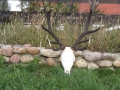 DSCF0825